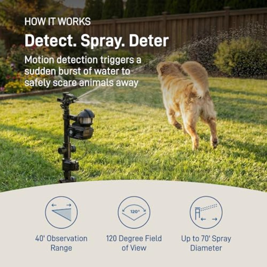 Motion-Activated Yard Sprinkle – обзор и цена Smart Garden