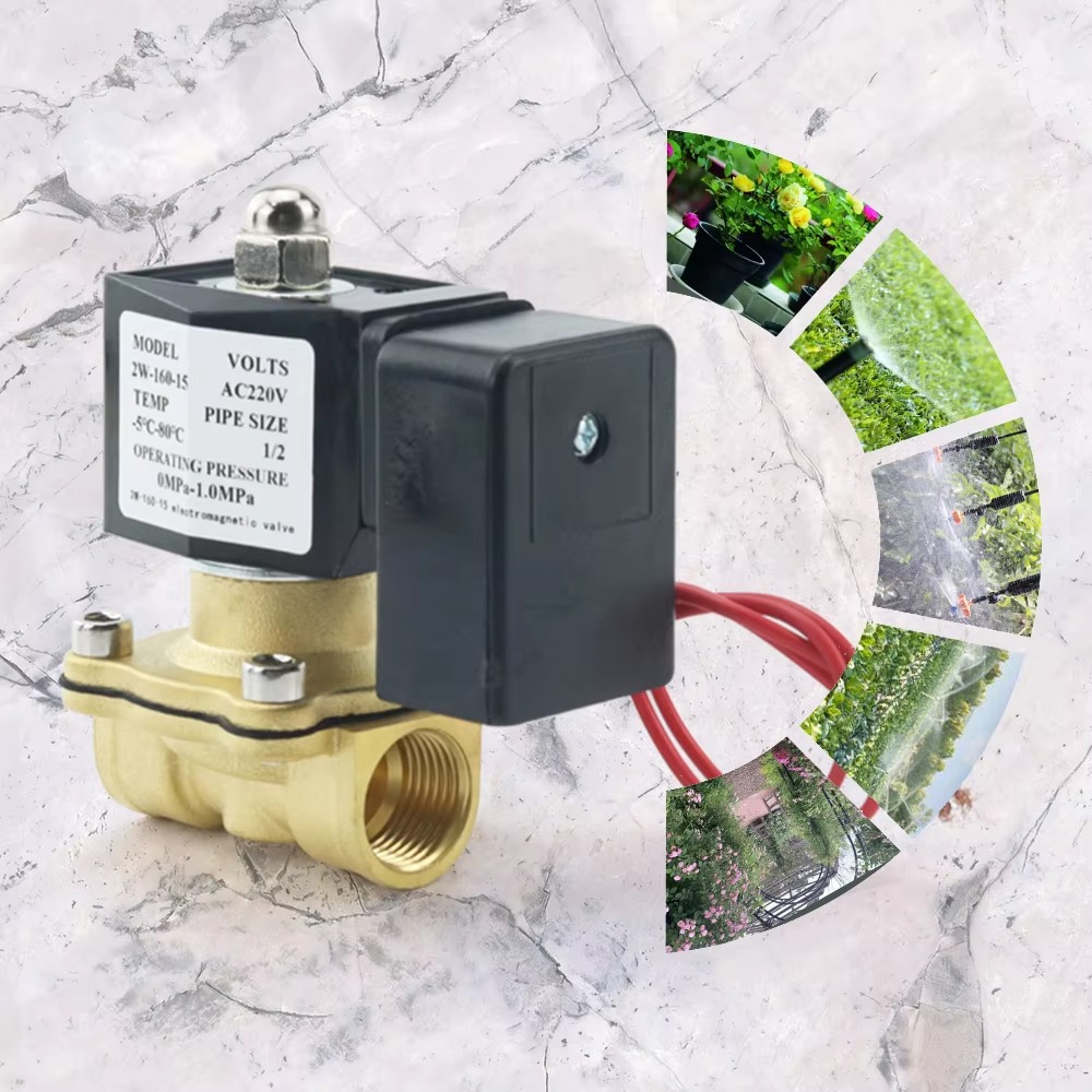 AC220V Tuya WiFi Smart Solenoi – обзор и цена Smart Garden Instructions