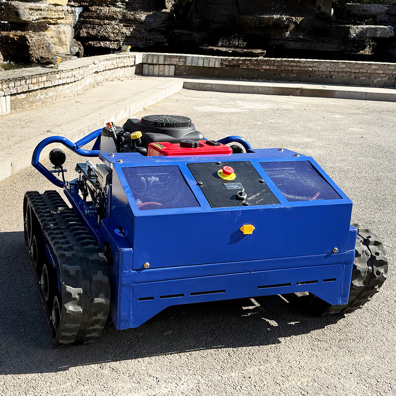 Customized High Quality Remote – обзор и цена Smart Garden Robot