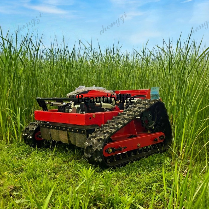 Customized High-Quality Remote – обзор и цена Smart Garden Robot
