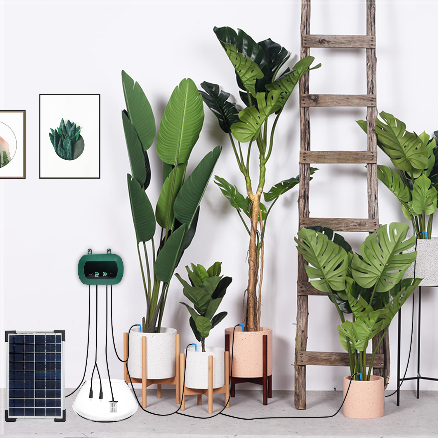 Solar Hydroponics Equipment  M – обзор и цена Smart Garden