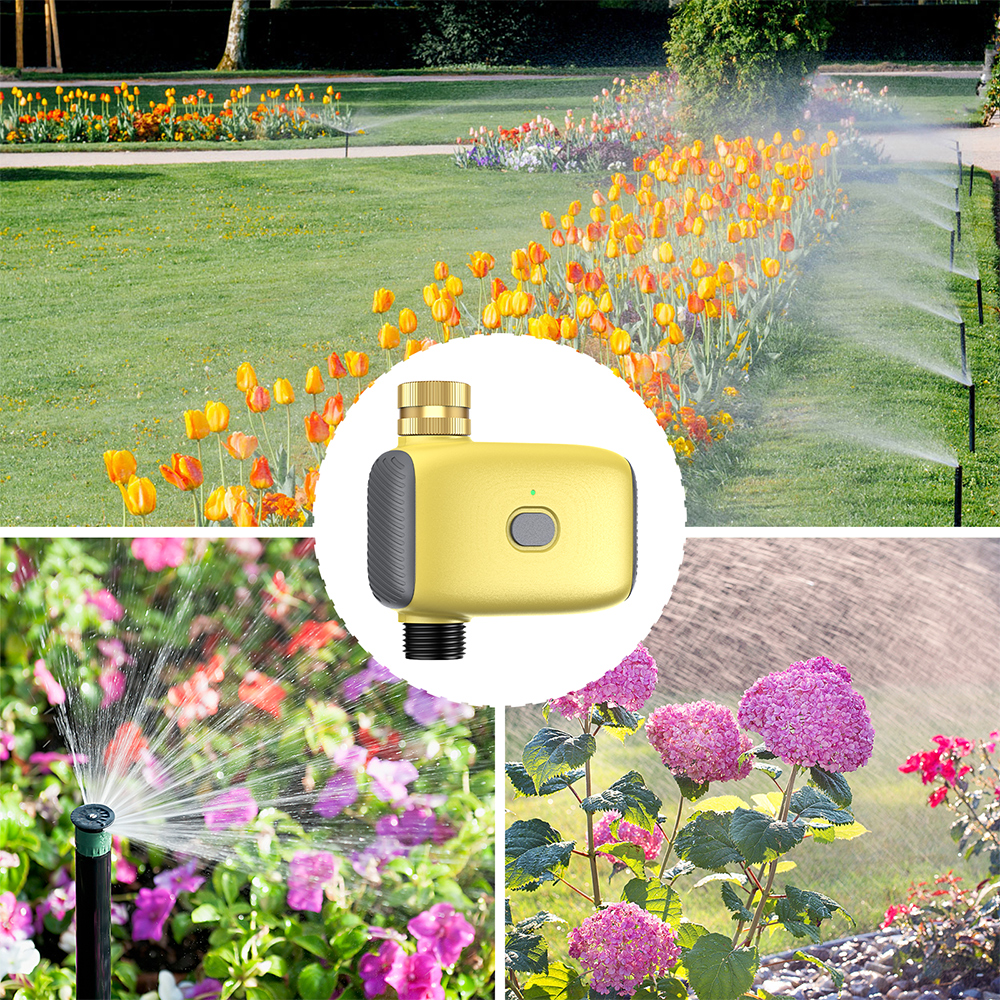 Wholesale Smart Digital  Water – обзор и цена Smart Garden
